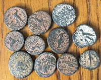 Uncleaned-Larger-high-Quality-Greek-Desert-Coins-From-Israel-www.nerocoins.com